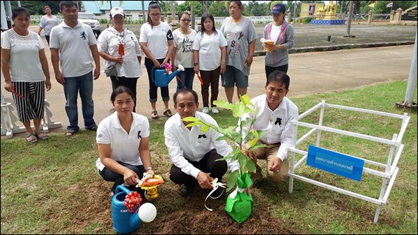 วันที่ 28 กรกฏาคม 2560 เวลา 10.09 น. นายกฤษฎา โลพิศ นายกเทศมนตรีตำบลสะพลี ร่วมกับ คณะผู้บริหาร สมาชิกสภาฯ พนักงานเทศบาล<br>ผู้นำชุมชน และประชาชนชาวตำบลสะพลี ร่วมกิจกรรมเฉลิมพระเกียรติสมเด็จพระเจ้าอยู่หัวมหาวชิราลงกรณ บดินทรเทพยวรางกูร เนื่องในโอกาสวันเฉลิมพระชนมพรรษา<br>โดยการปลูกต้นกล้ายางนา ณ สำนักงานเทศบาลตำบลสะพลี
